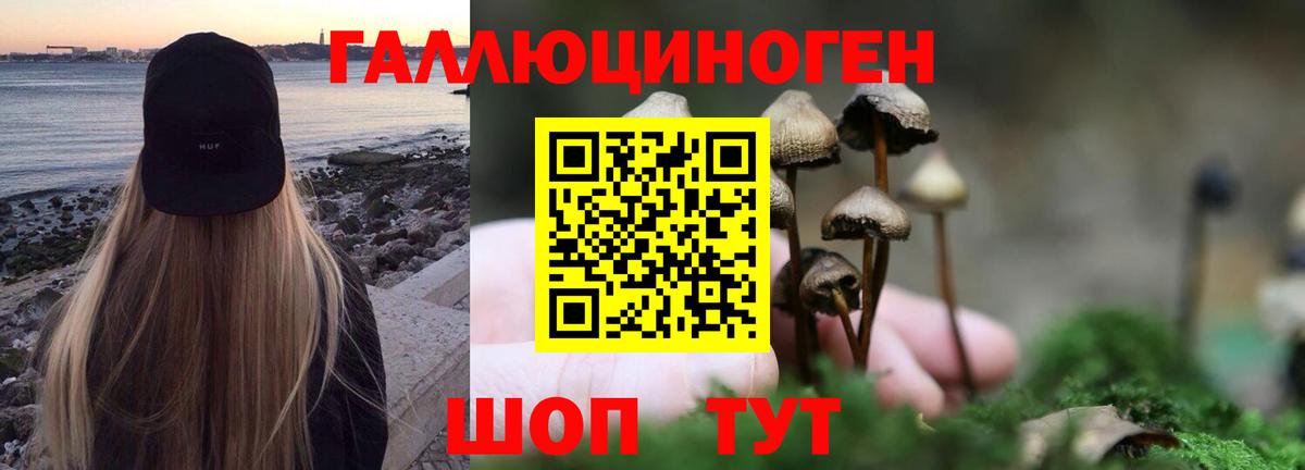 Псилоцибиновые грибы MAGIC MUSHROOMS Ивантеевка